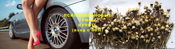 mix Богданович