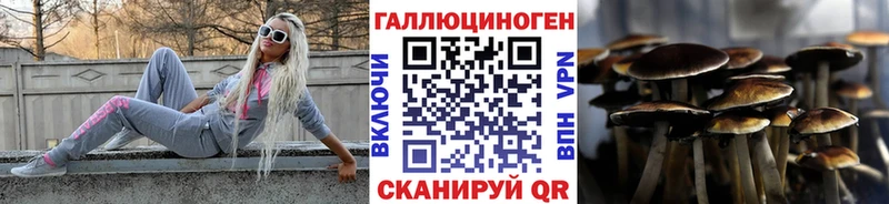 Псилоцибиновые грибы GOLDEN TEACHER  купить   Жуковка 